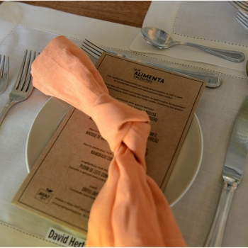 gnt_alimenta-03